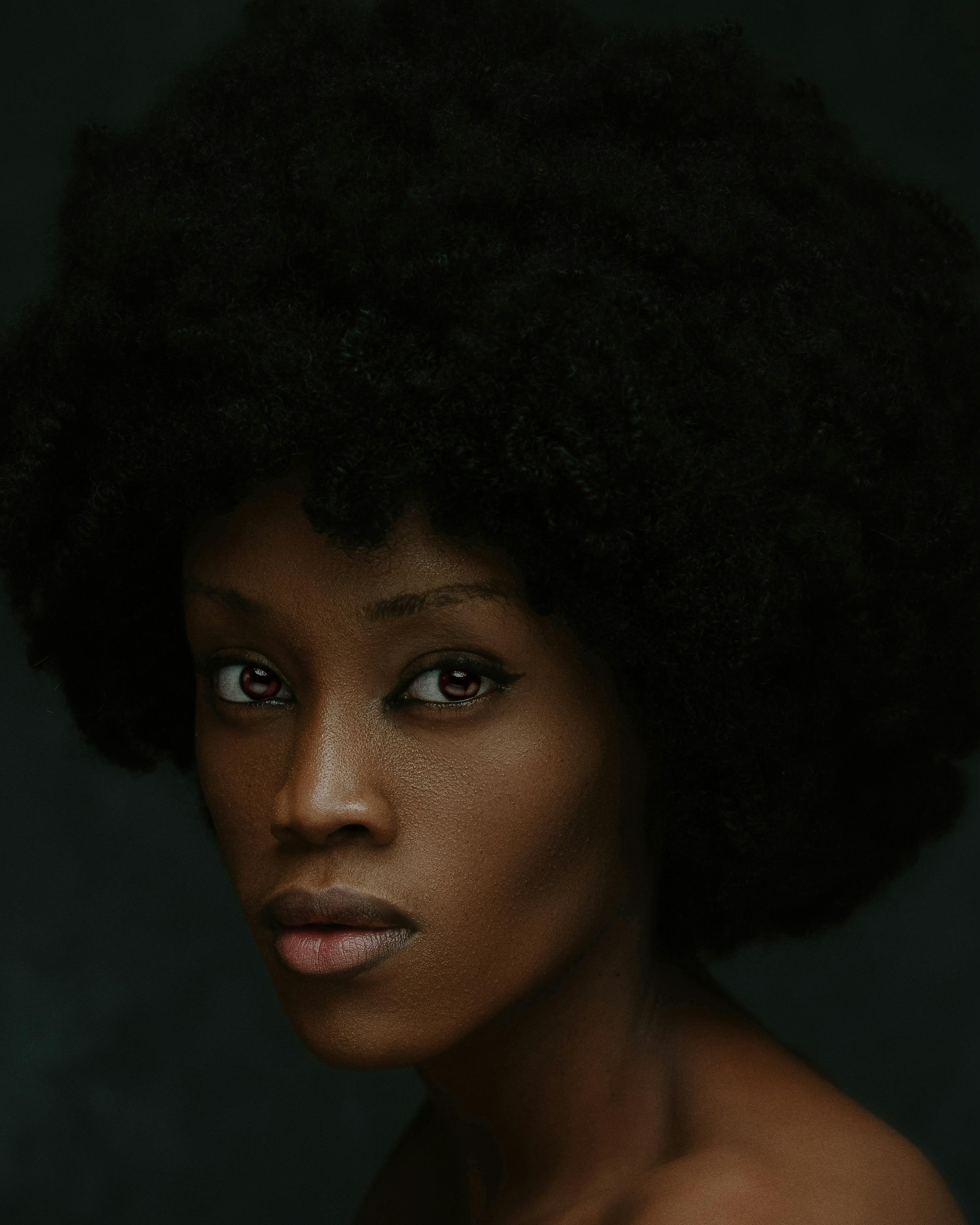 Elegant portrait of a woman with a large afro hairstyle against a dark background.