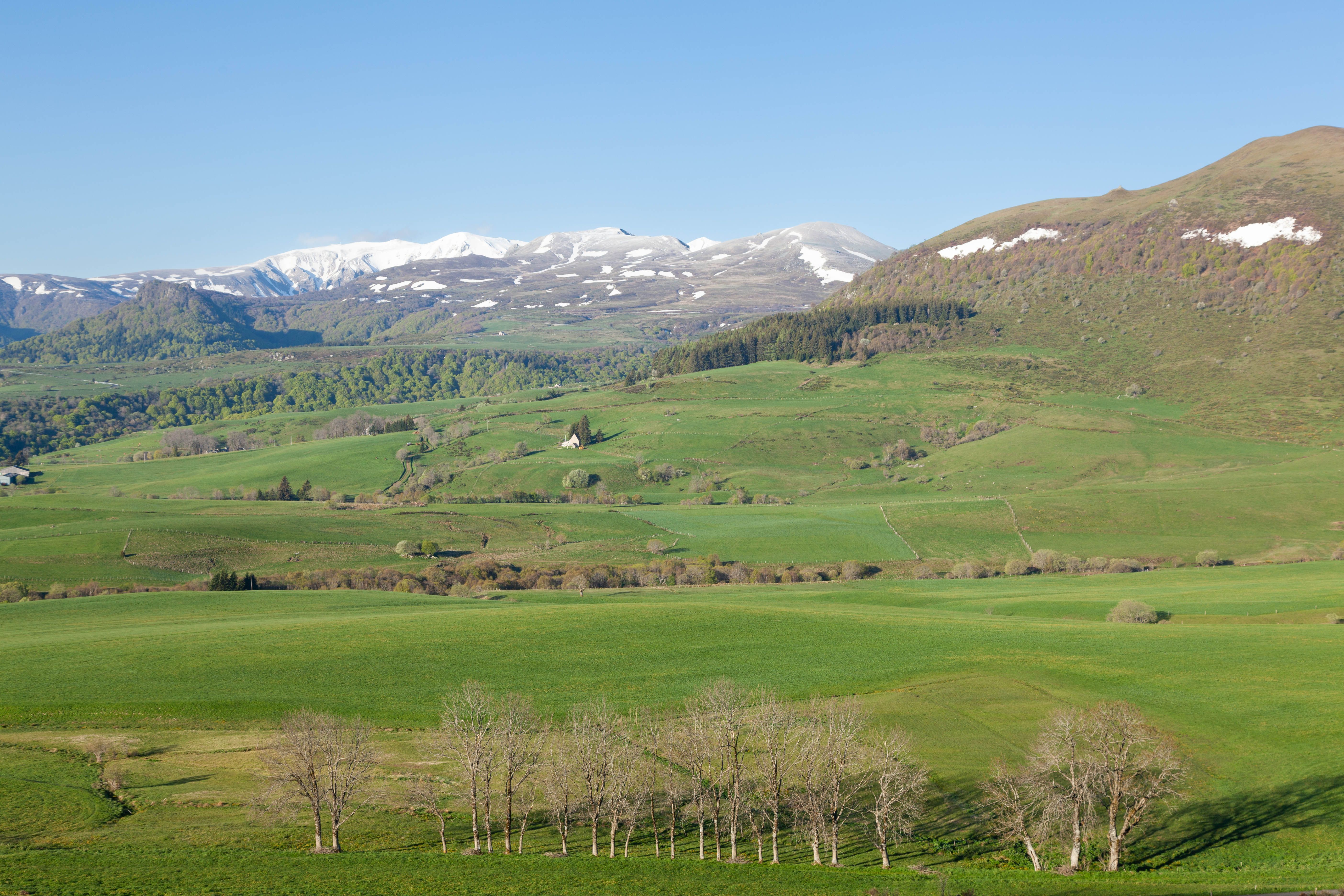 valence