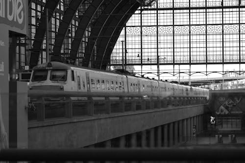 Train on a Railway Station in Black and White