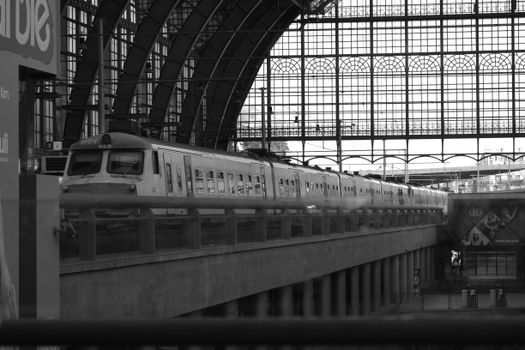 Elegant black and white photo of a train at Antwerp Central Station, Belgium.