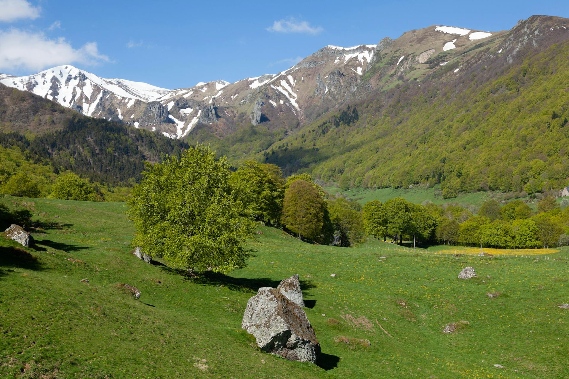Vallée verdoyante et sommets enneigés du Sancy