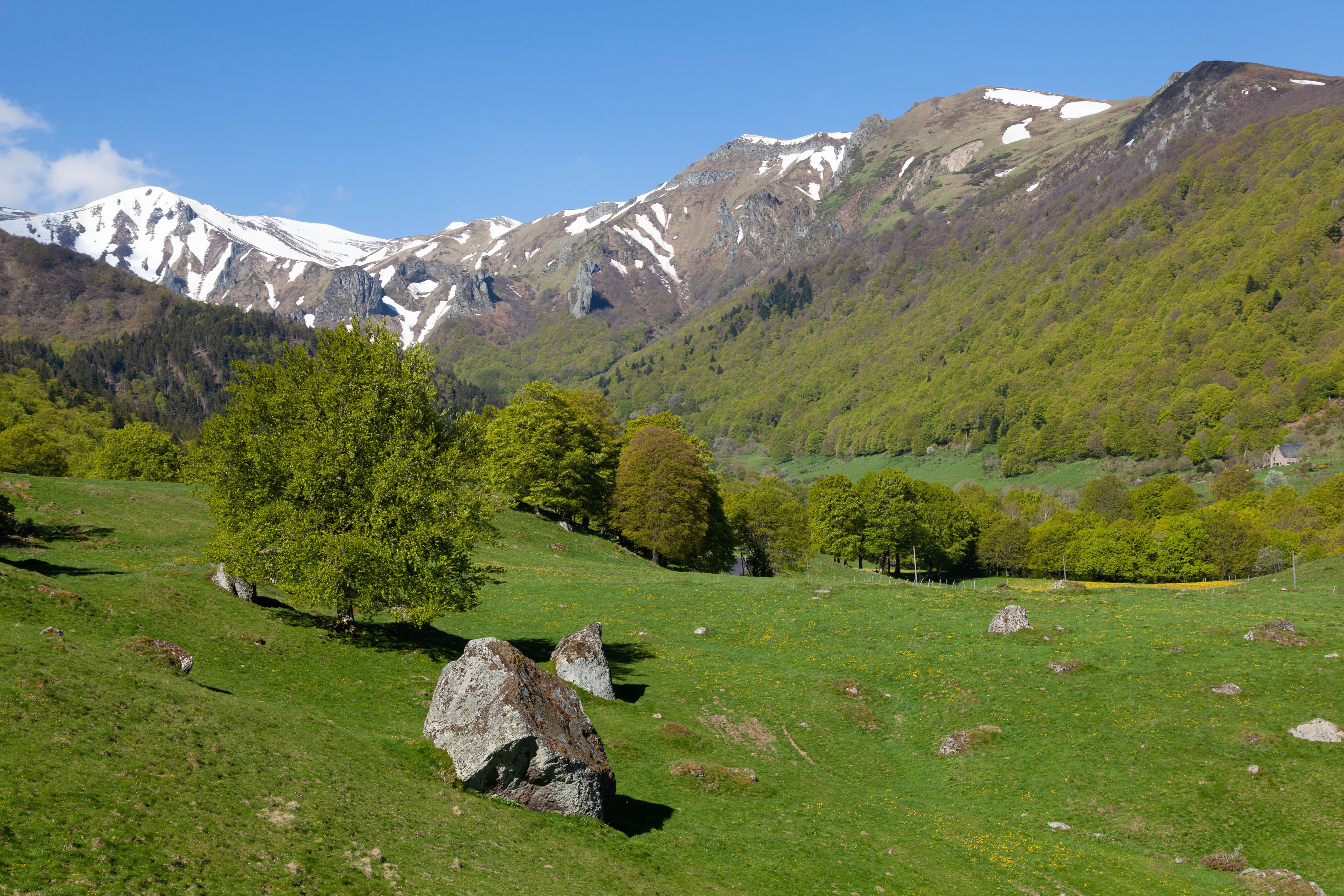 Explore the lush landscape of Mont-Dore, France with vivid greenery and snow-capped peaks.