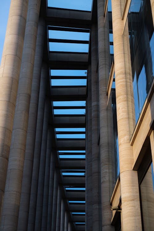 A Modern Building with Columns and Glass Ceiling 