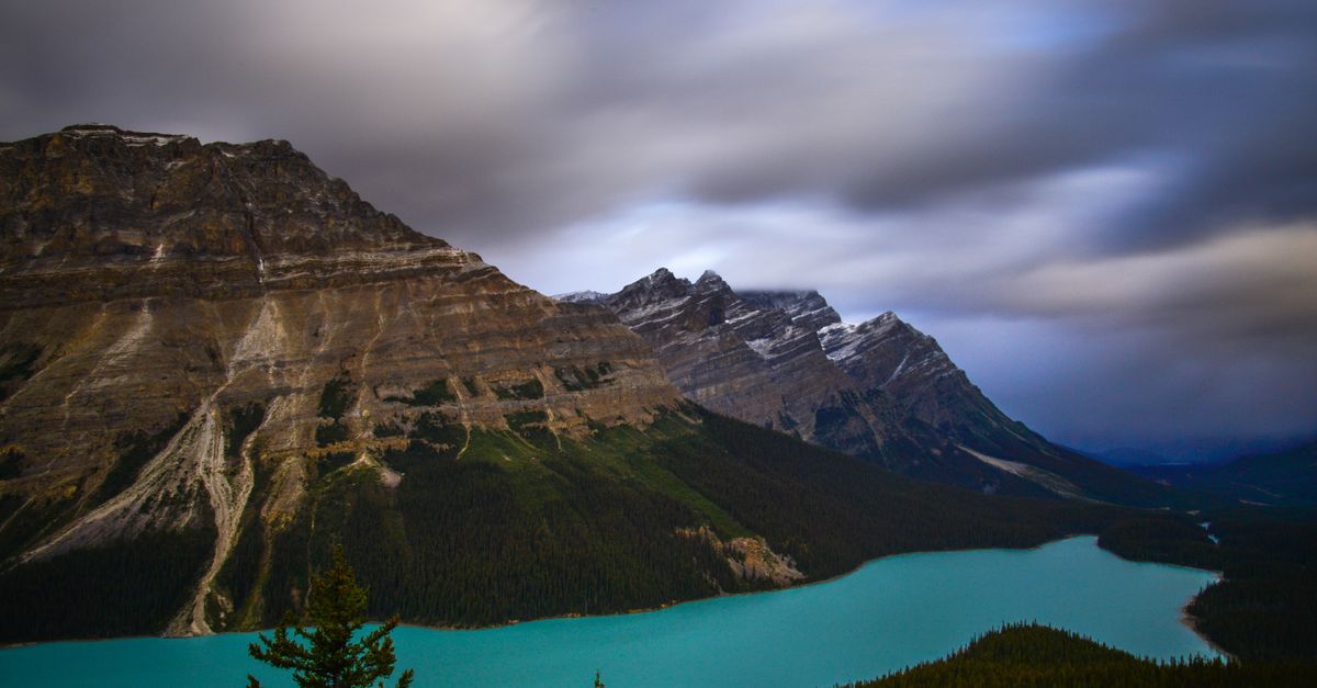 alberta
