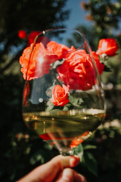 垂直拍摄, 白酒, 紅玫瑰 的 免费素材图片