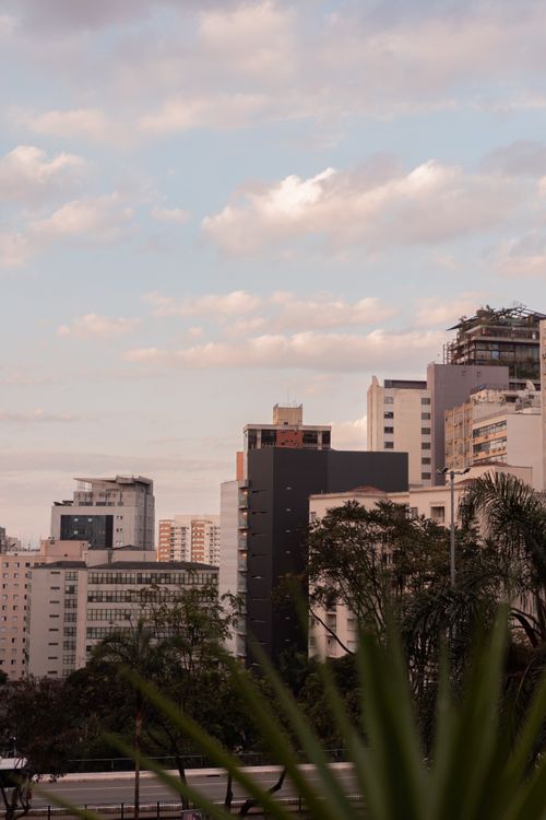 Free Urban cityscape featuring modern skyscrapers against a cloudy sky with foliage in the foreground. Stock Photo