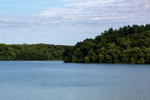 Free Tranquil river surrounded by lush green forest under a cloudy summer sky. Stock Photo