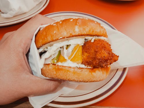Free stock photo of burger, cod sandwich, fish burger
