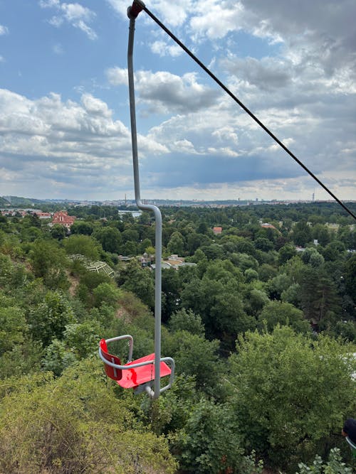 Kostnadsfri bild av djurpark, i luften, linbana