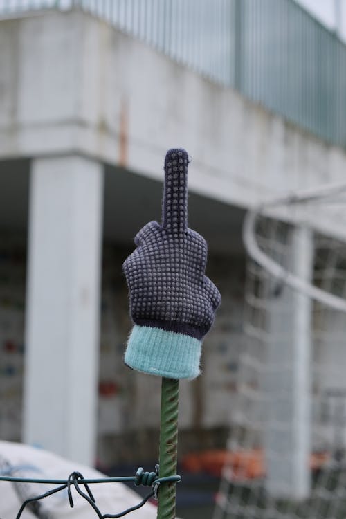 Kostnadsfri bild av handske, långfinger