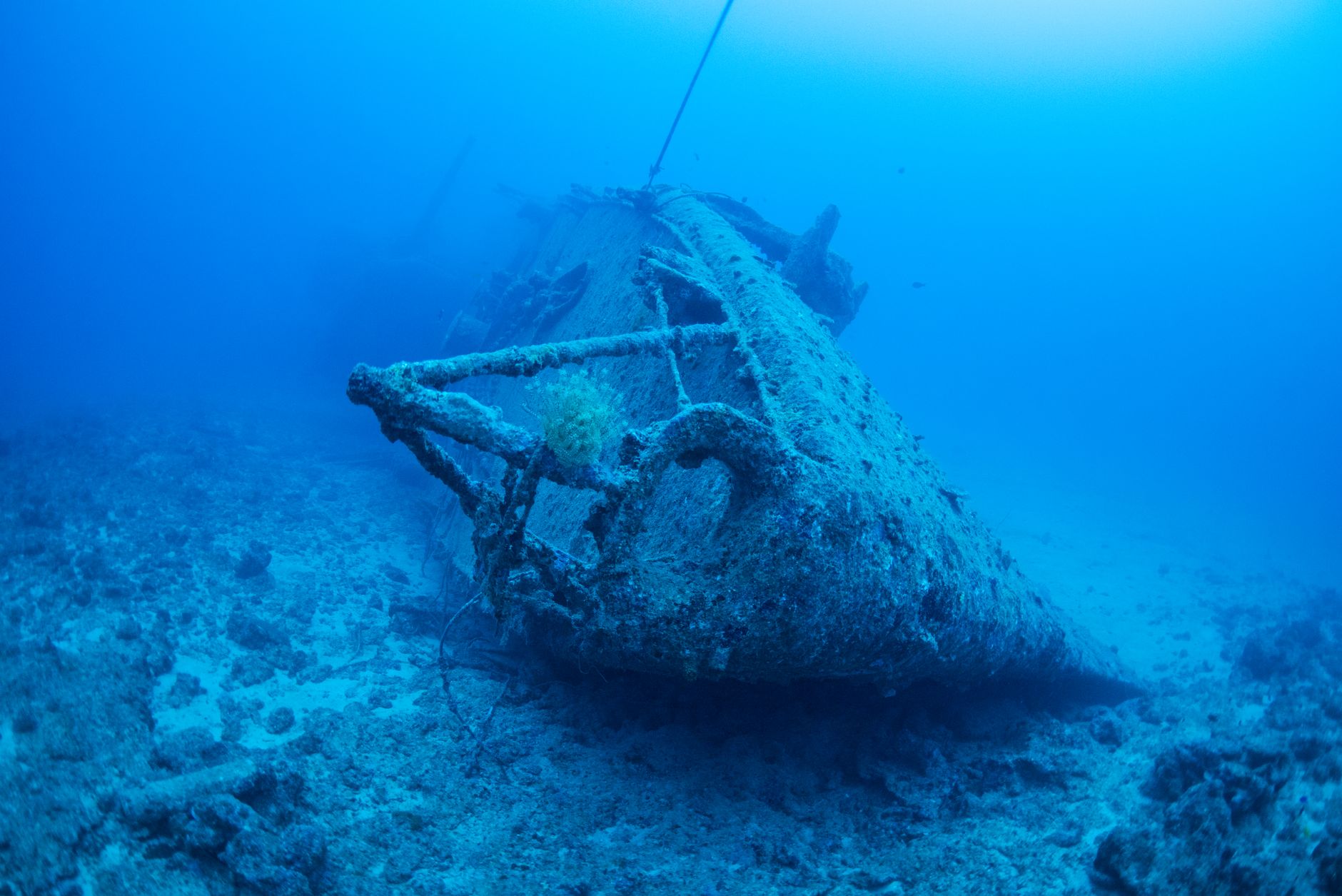 Egypt – Severní safari a Tiranské ostrovy 6