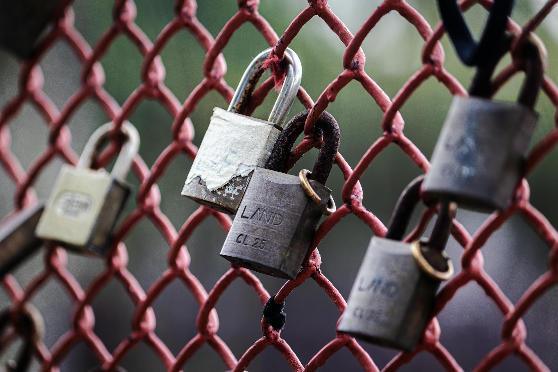 A close-up view of various padlocks secured to a red wire fence, symbolizing security and unity.