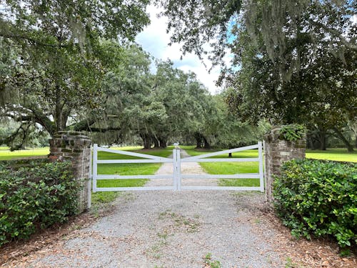 View of a Gate at the Bluff Plantation in South Carolina, USA 