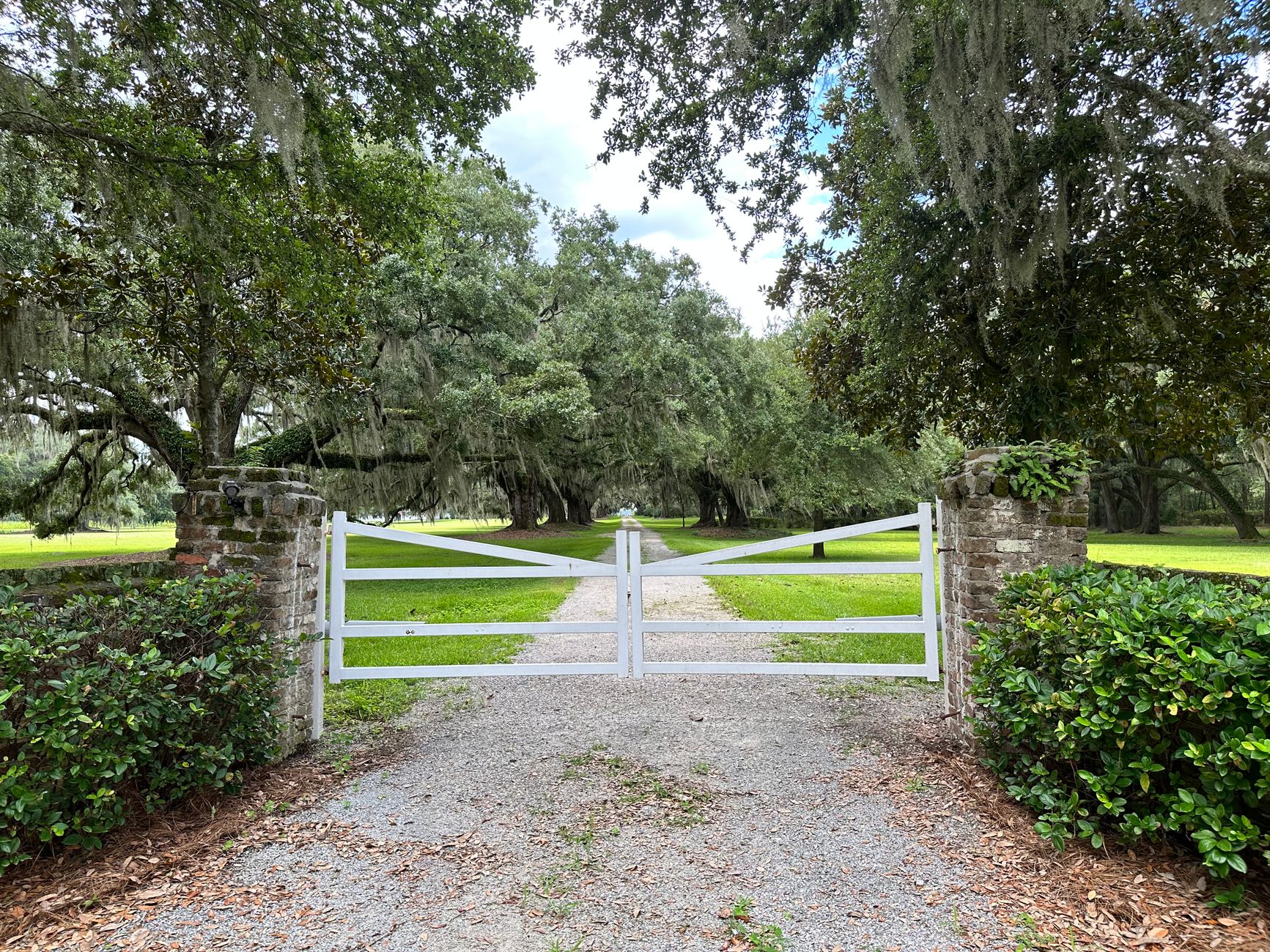 White gate leading to a scenic plantation road in Yemassee, SC.