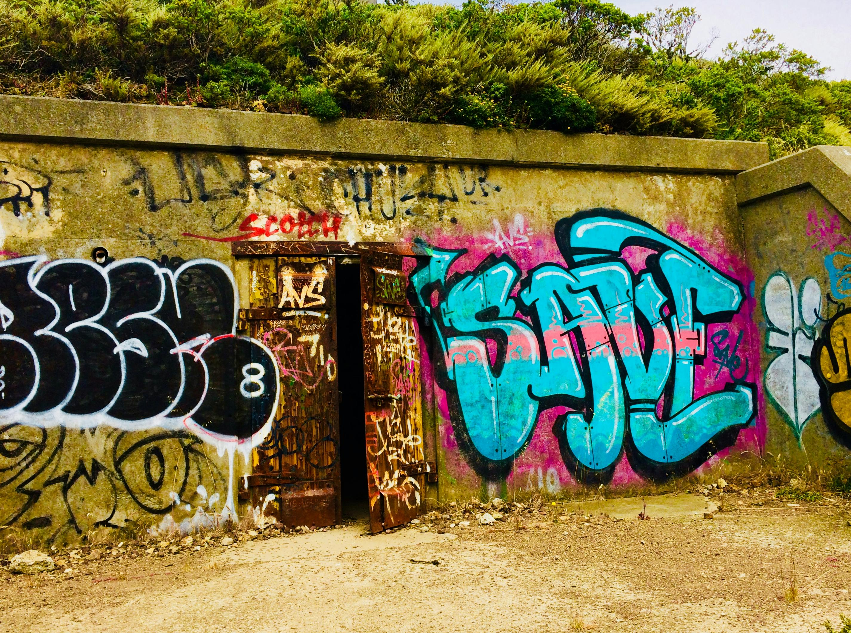 Free stock photo of color, graffiti, tags