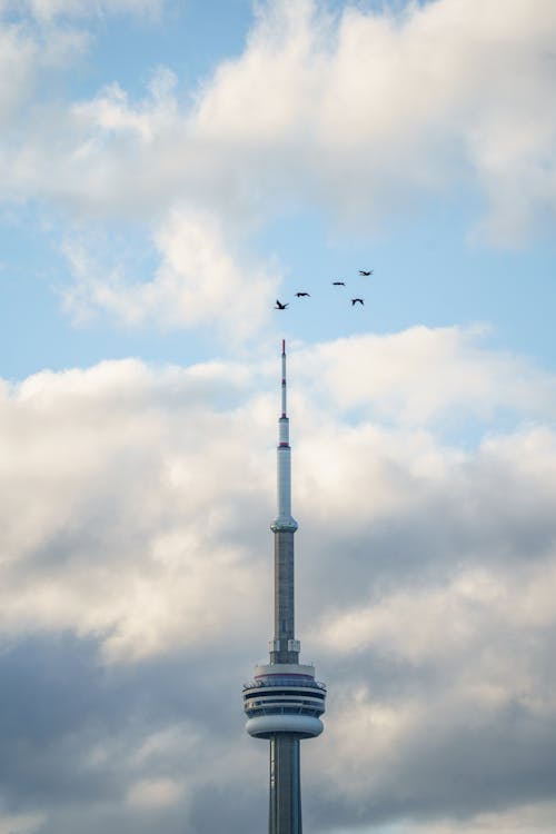 View of the CN Tower in Toronto