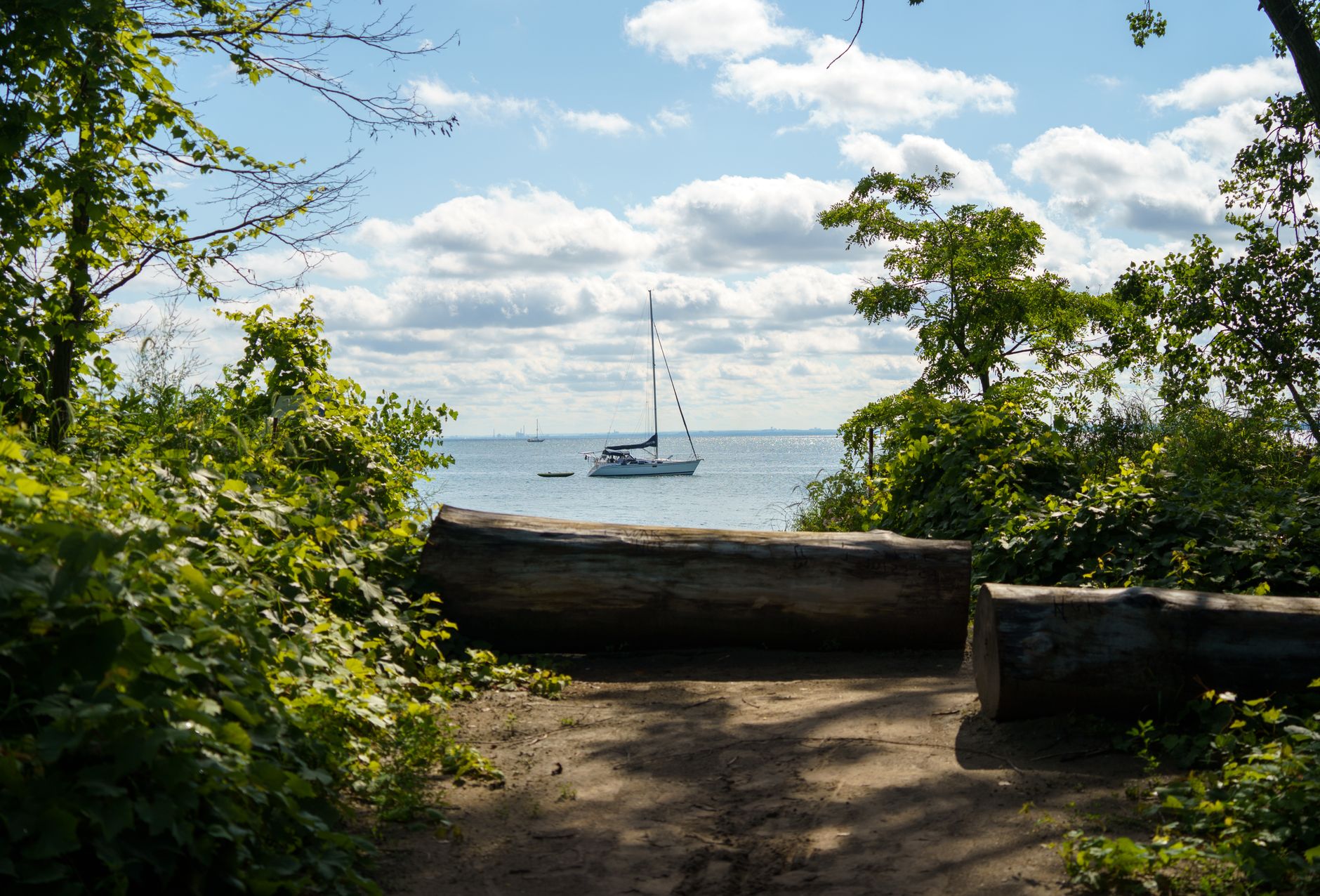A serene view of a sailboat on Lake Ontario from the Toronto shoreline, framed by lush greenery.