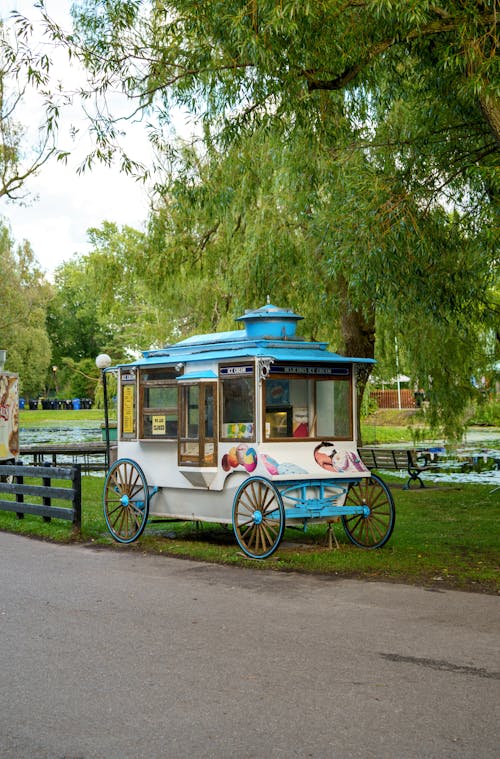 Decorated Trailer with Street Food in Park