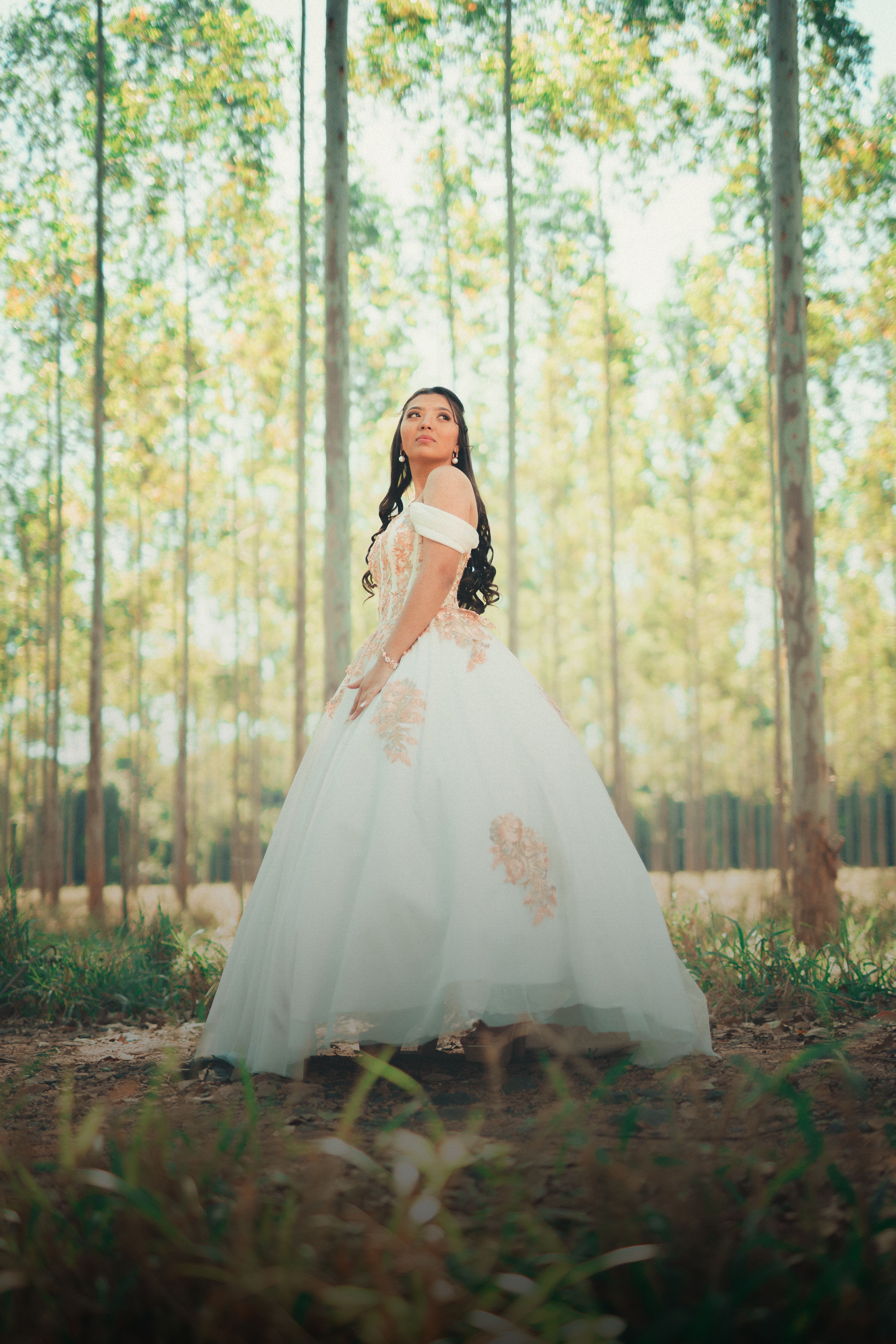 Bride in Wedding Dress Posing near Old Tree in Forest · Free Stock Photo