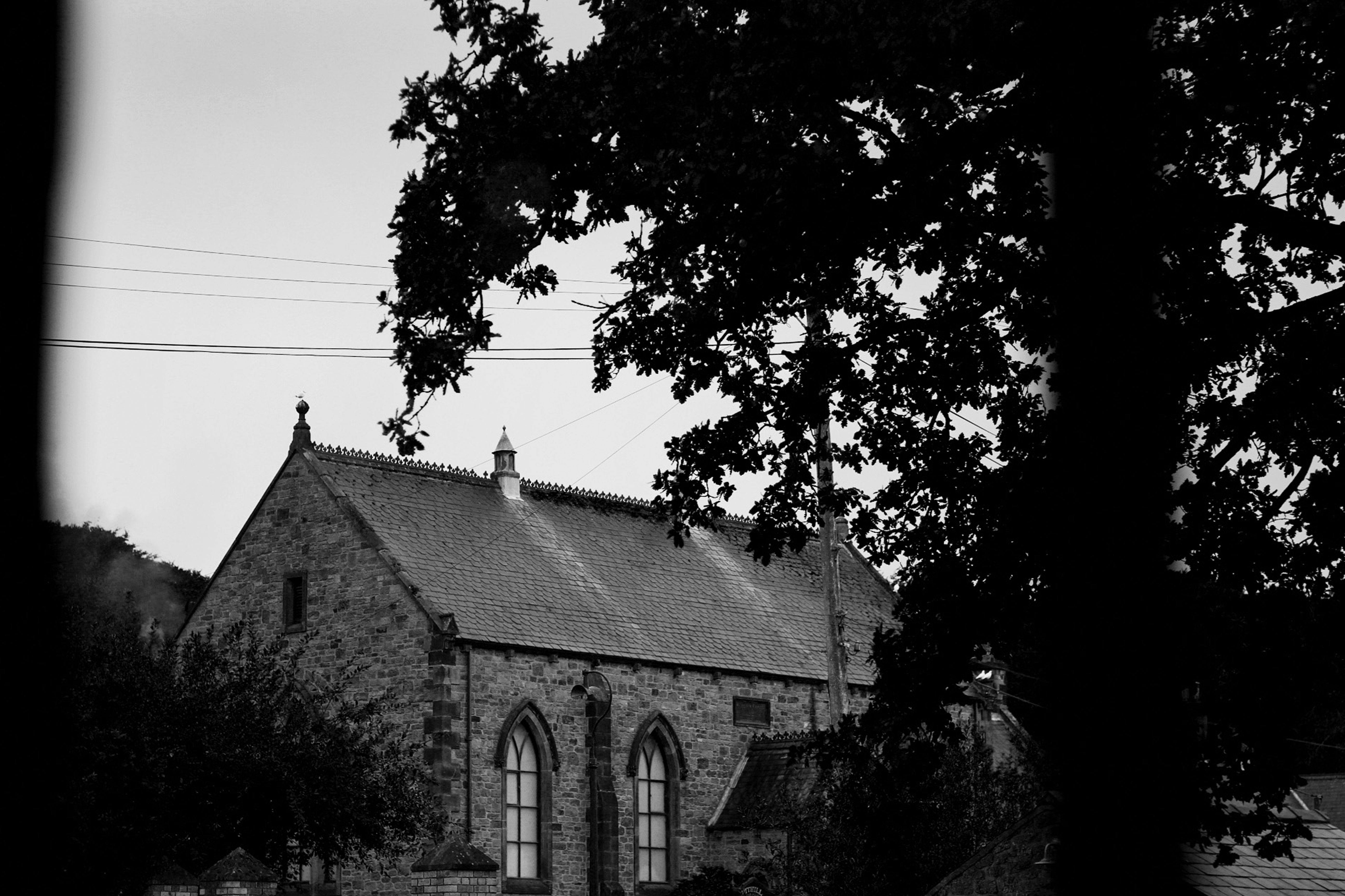 Free stock photo of black and white, church, tree