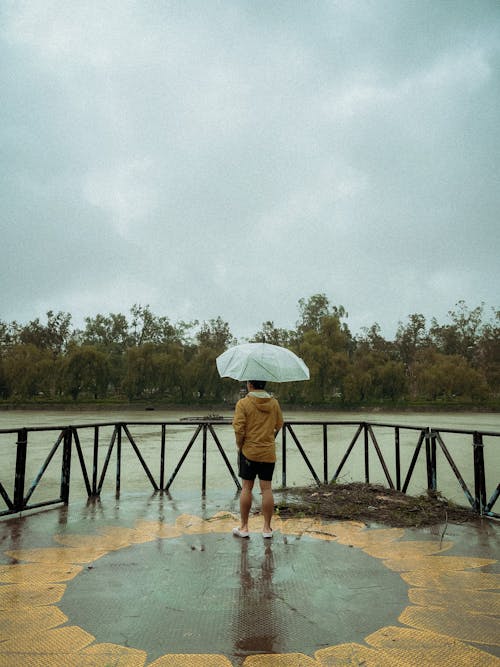 下雨, 下雨天, 公園 的 免費圖庫相片