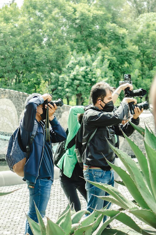 Fotos de stock gratuitas de cámaras, fotografiando, fotógrafos