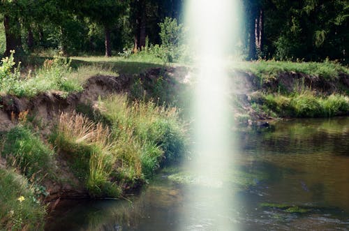 Kostenloses Stock Foto zu fluss, gras, lens flare