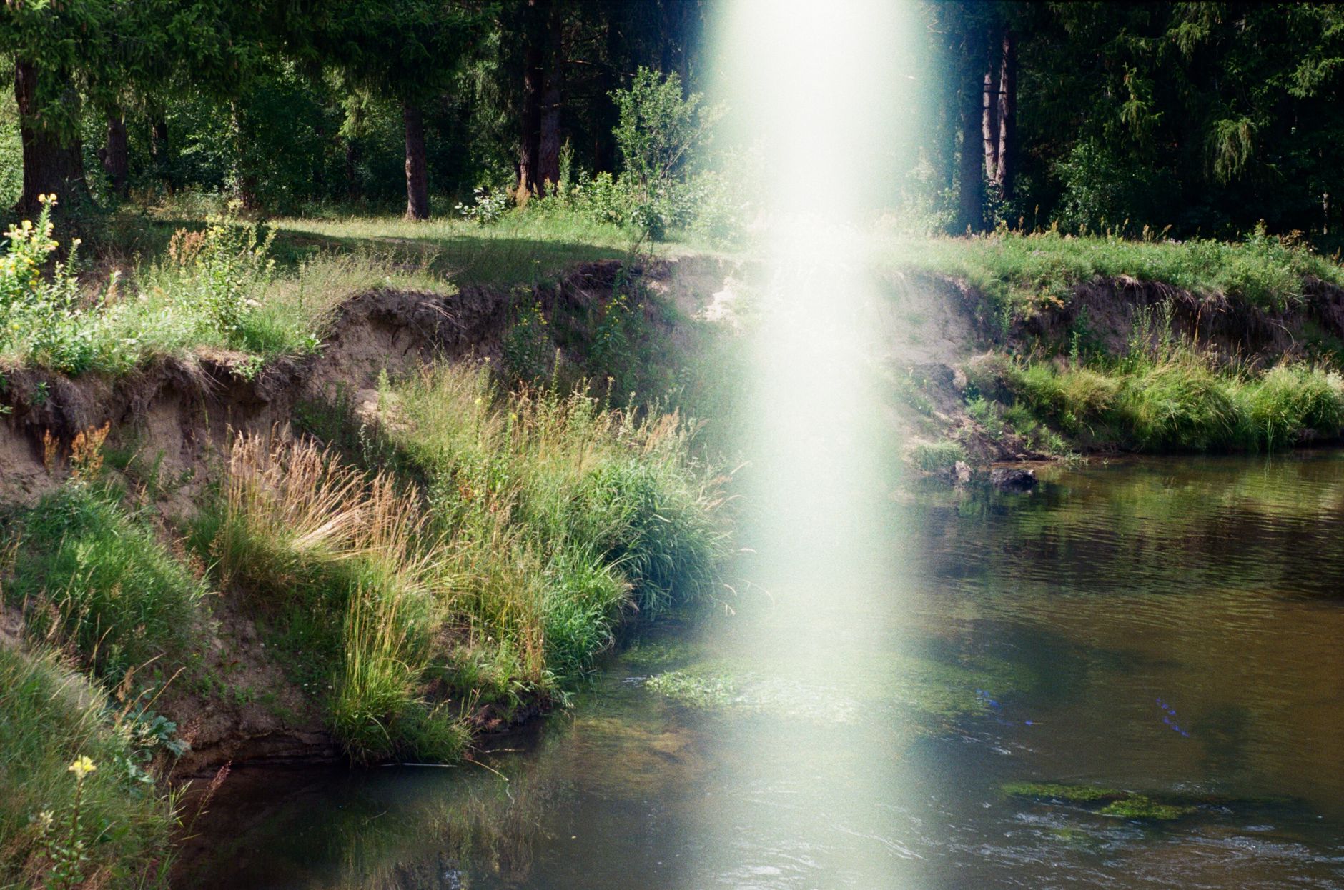 Ataraxia Estoica: Cómo Carlos Alcanzó la Tranquilidad Mental en 90 Días