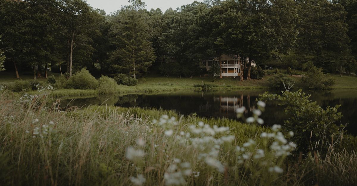 Serene cabin by a forested lake in Suches, Georgia. Calm and picturesque setting.