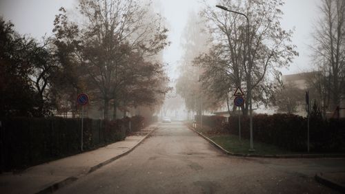 Free Foggy street scene showcasing autumn trees with mist and quiet ambiance. Stock Photo