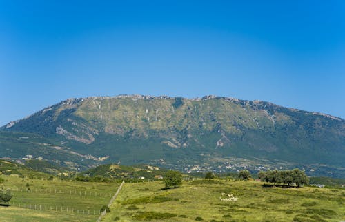 Photos gratuites de colline, herbe, pittoresque