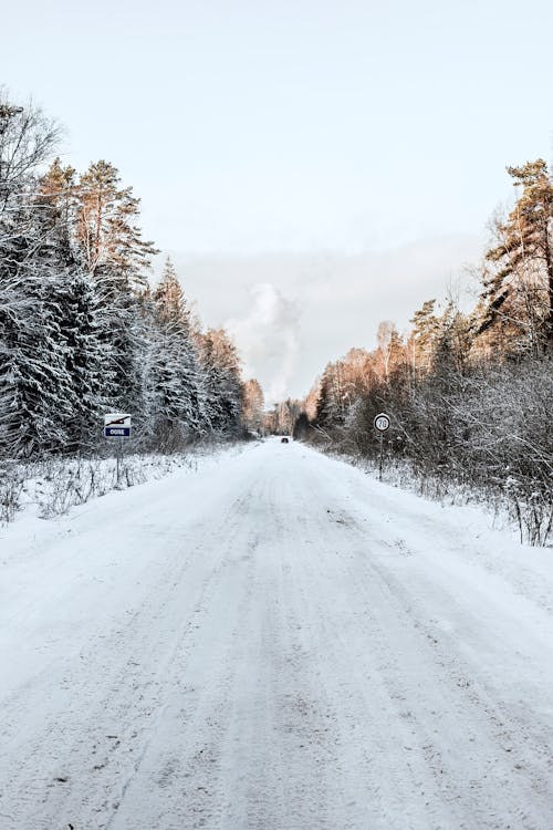 Snow on Road in Forest