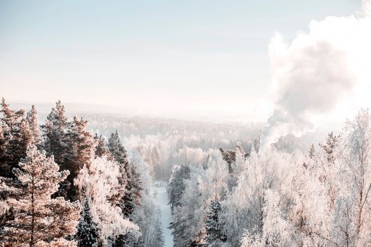 Aerial view of a snowy forest with a plume of smoke rising through the trees.