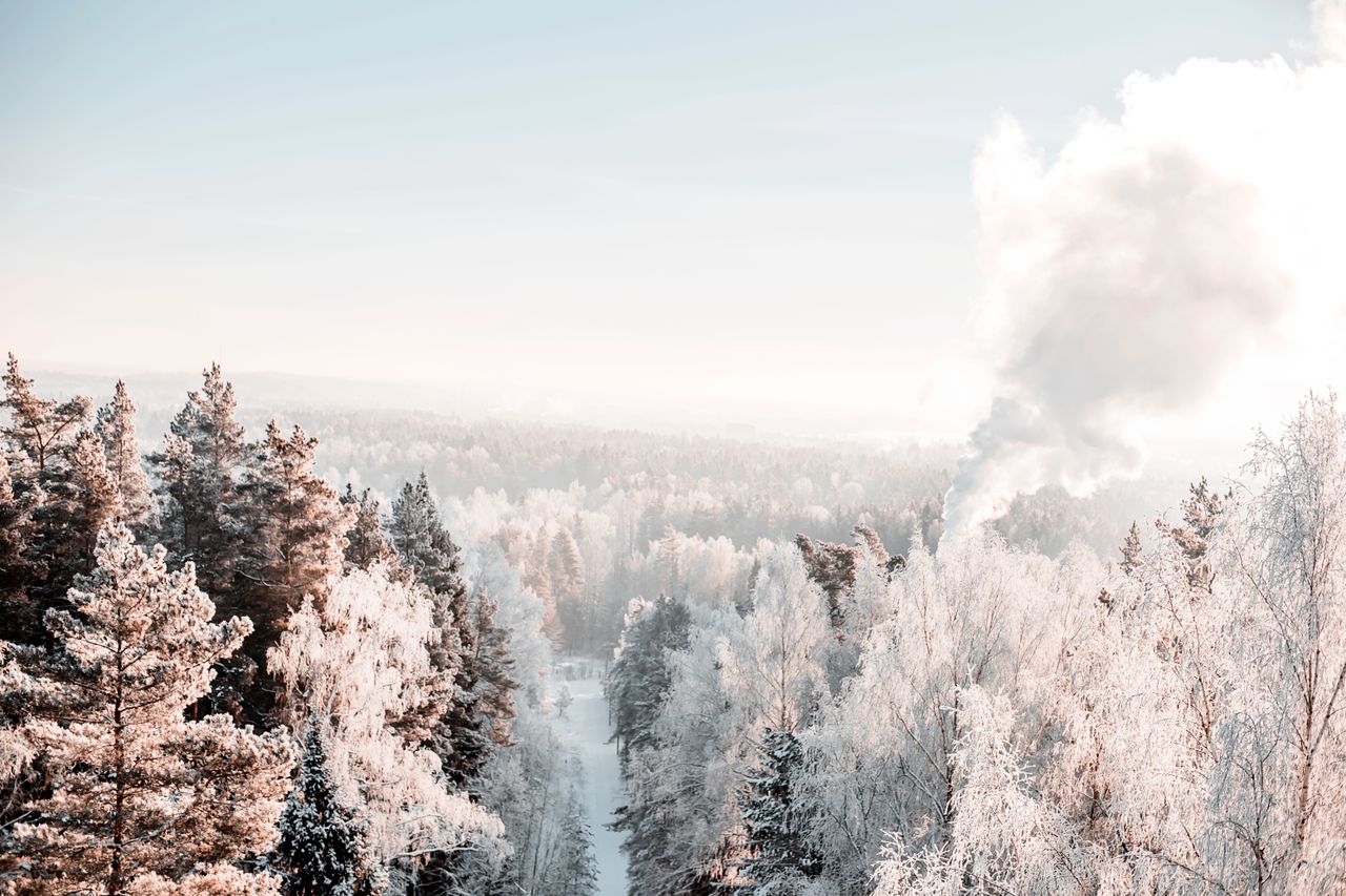 aerial view of a snowy forest with a plume of smoke rising through the
