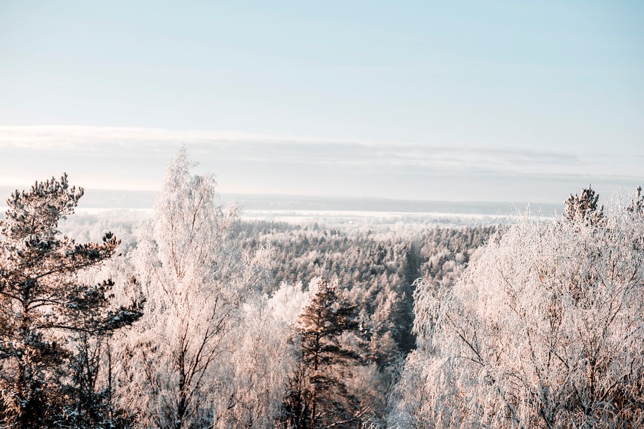 a stunning aerial view of a snow covered forest during winter showcasi
