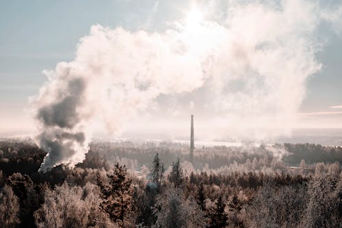 Smoke over Forest in Winter