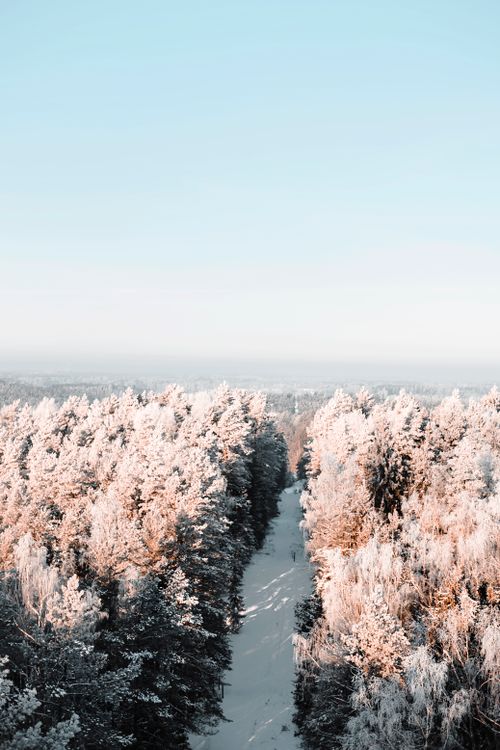 Free Breathtaking aerial view of a frosty winter forest covered in snow under a clear sky. Stock Photo