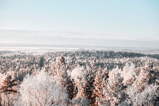 Serene aerial view of a snow-covered forest during winter, showcasing natural beauty and tranquility.