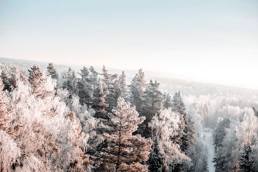 A breathtaking aerial view of a serene, snow-covered forest, capturing the essence of winter's tranquil beauty.