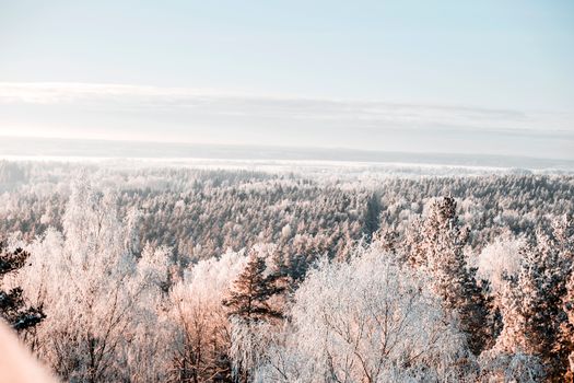 A stunning aerial panorama capturing a frosty winter forest covered in snow and ice under a clear sky.
