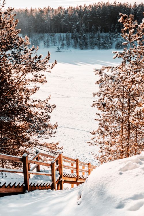 Free A scenic winter landscape featuring snow-covered stairs and trees in a serene forest setting. Stock Photo