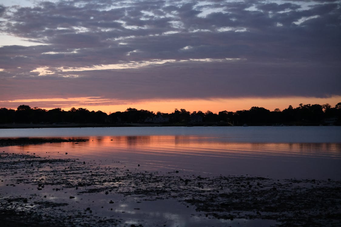 Daybreak 61 F 5 15 To 6 05 Am July 31 2023 Cove Island Park daybreak-61-f-5-15-to-6-05-am-july-31-2023-cove-island-park