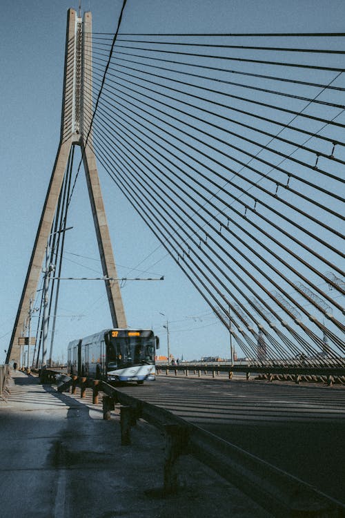 Foto d'estoc gratuïta de atracció, autobús, conduir