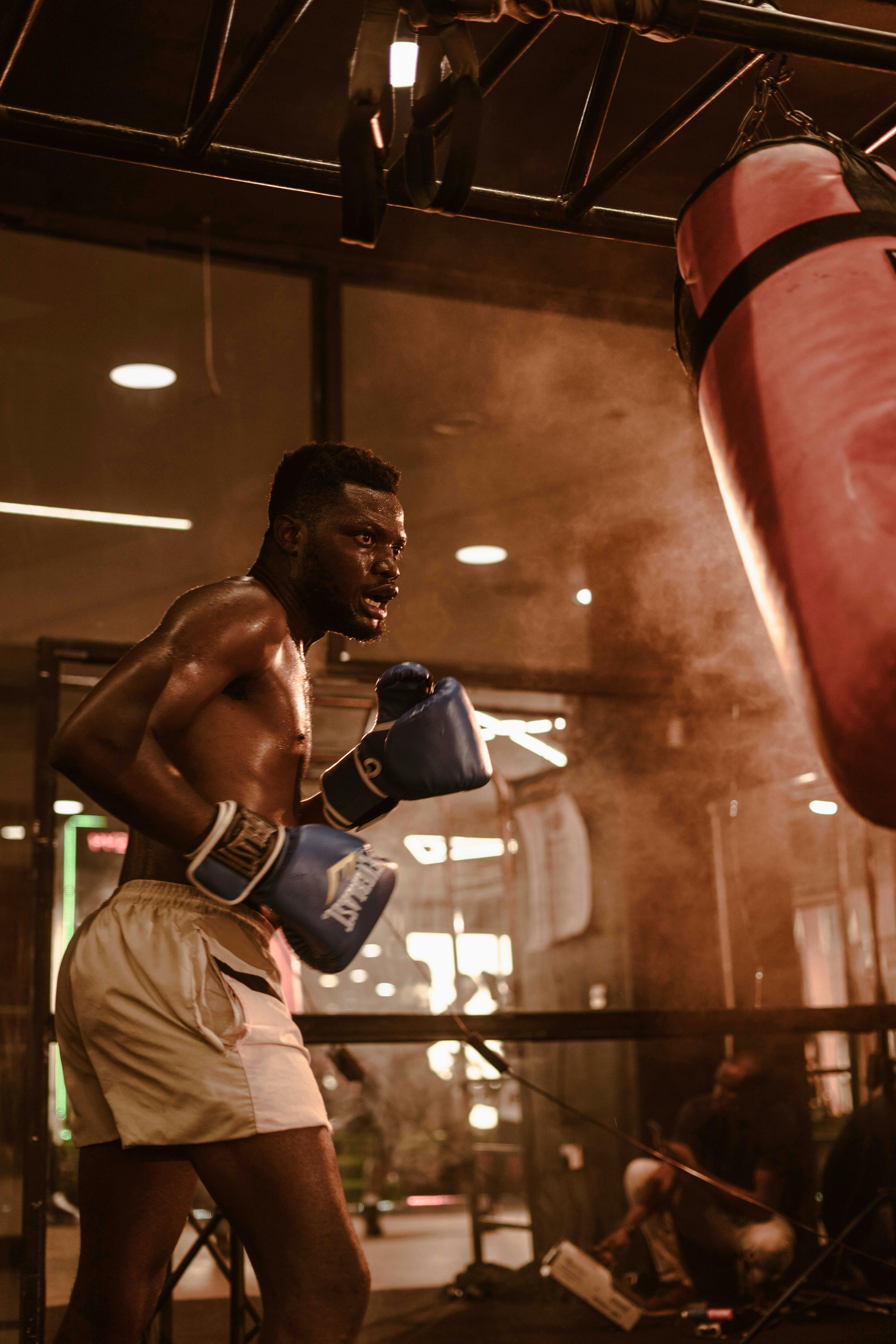 3.000+ bedste Traet ภูมิทัศน์ภูเขาสูง-fotos · Helt gratis at downloade