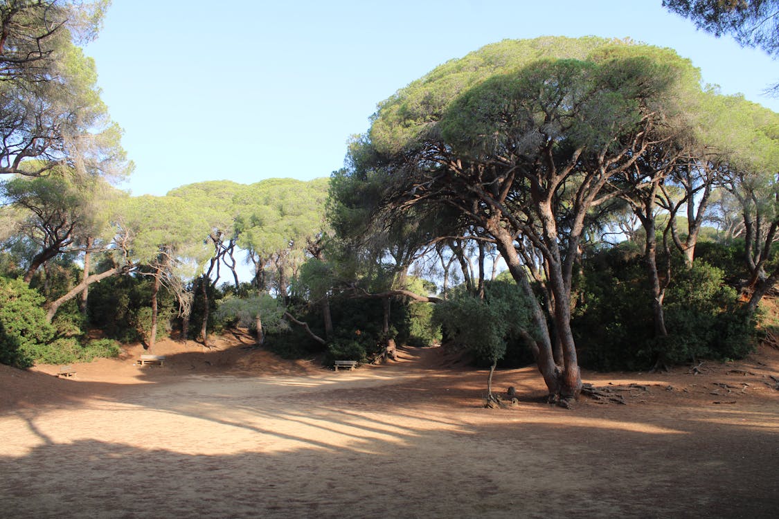 parque de las Canteras en Puerto Real