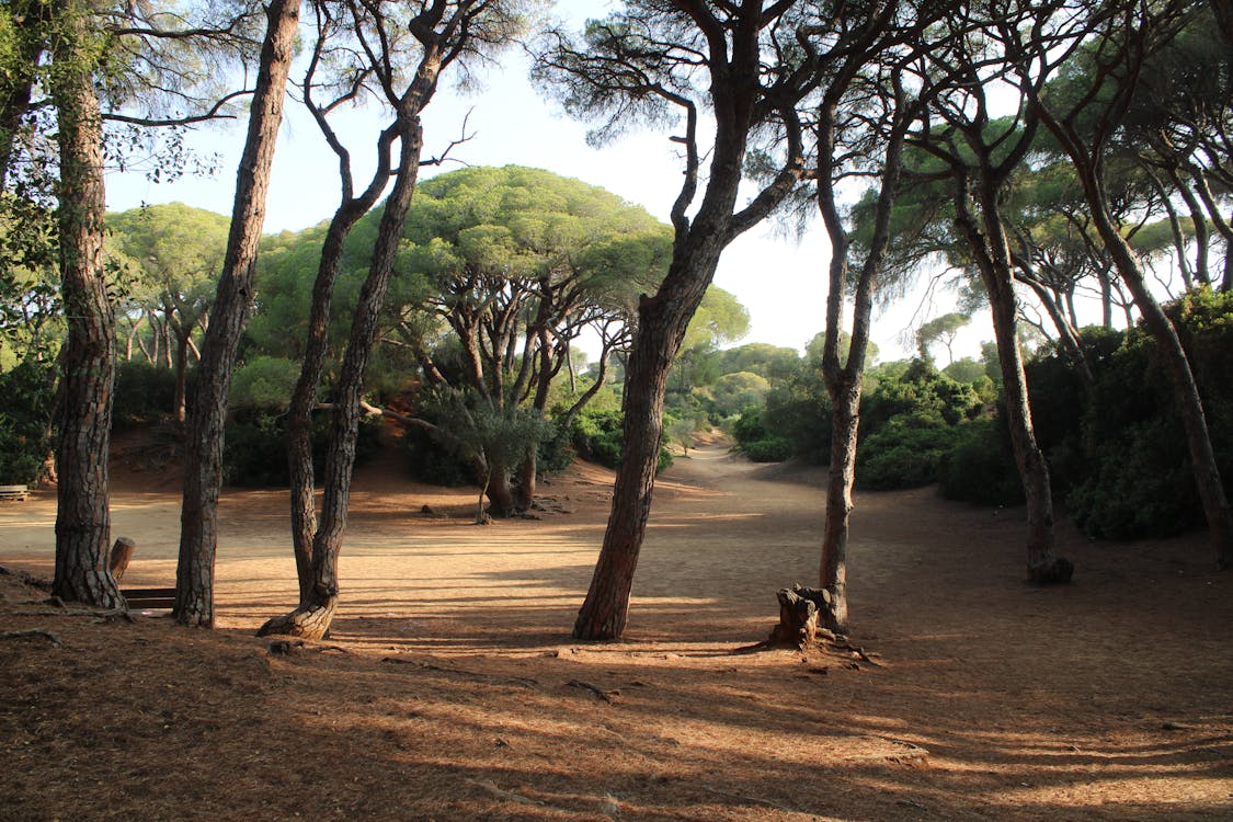 parque de las Canteras en Puerto Real