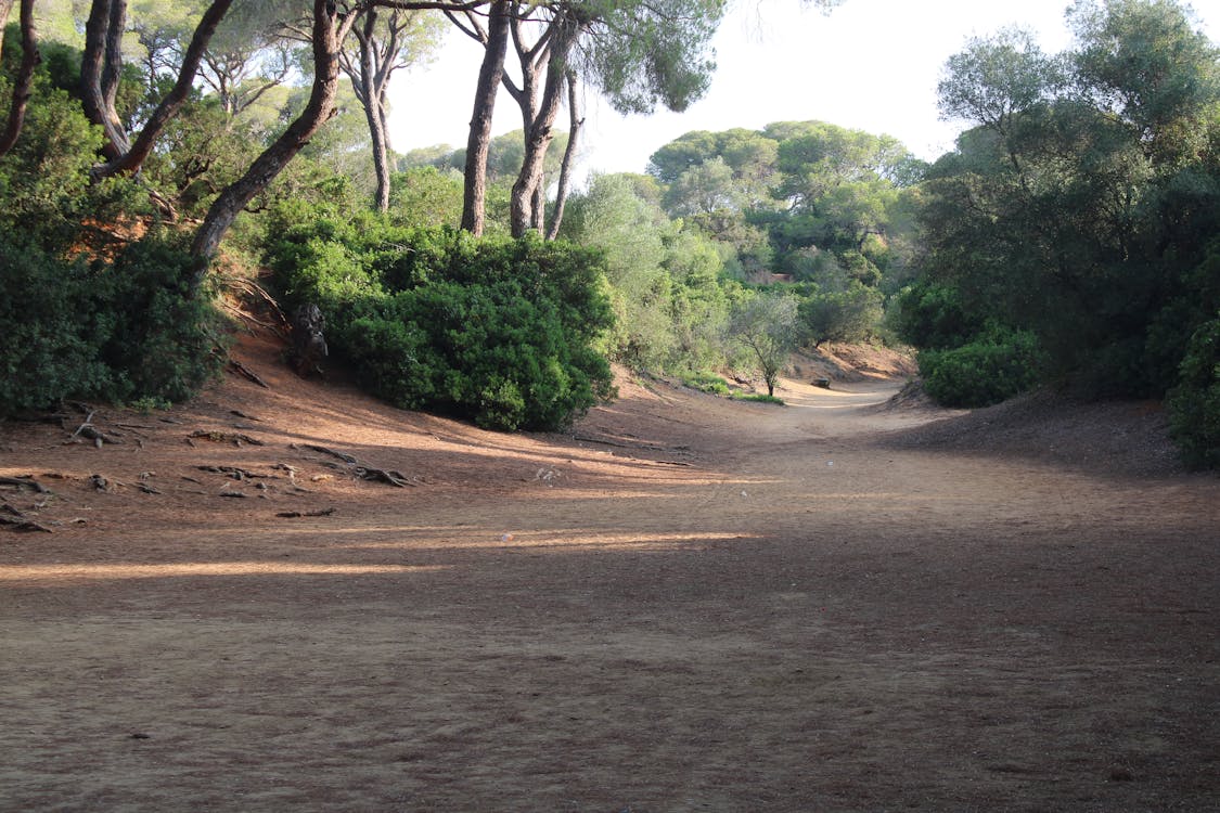 parque de las Canteras en Puerto Real