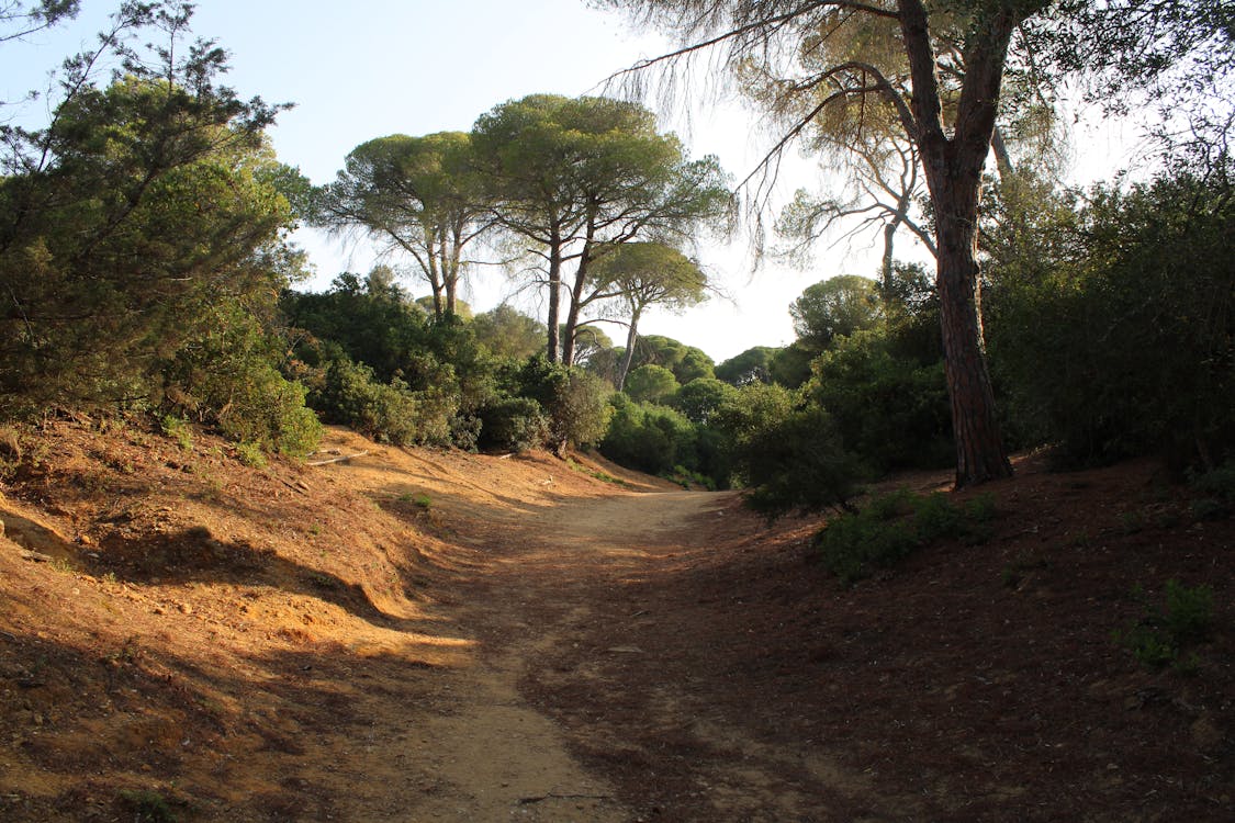 parque de las Canteras en Puerto Real