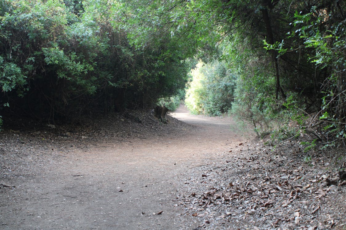 parque de las Canteras en Puerto Real