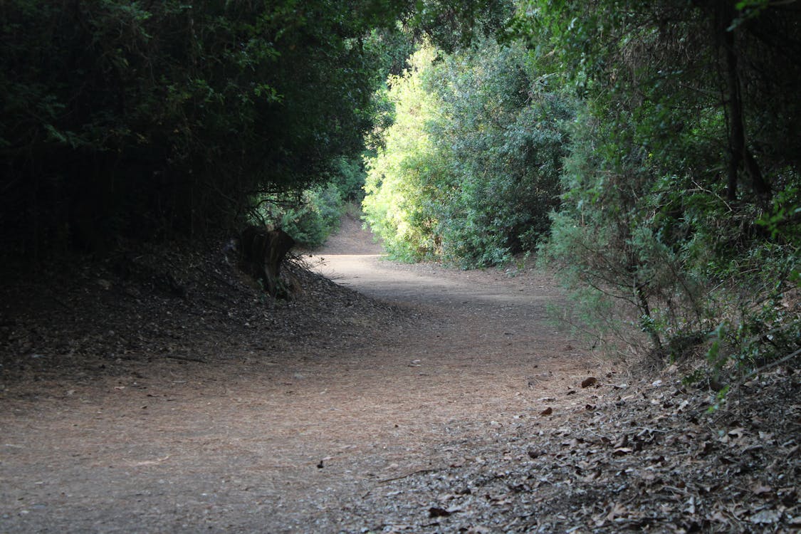 parque de las Canteras en Puerto Real